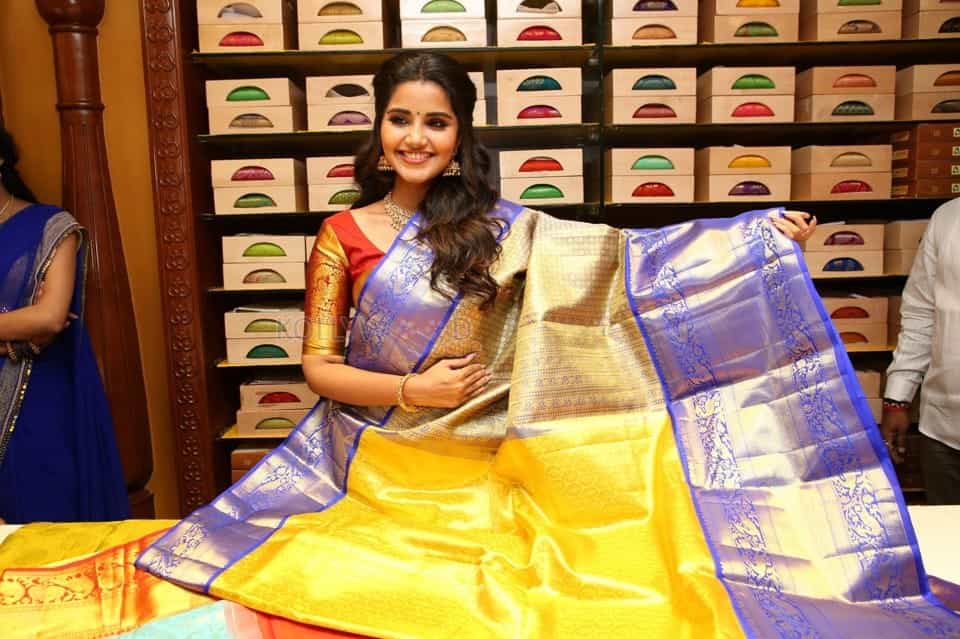 Actress Anupama Parameswaran At Anutex Shopping Mall Grand Festival Prizes And Collection Launch Photos