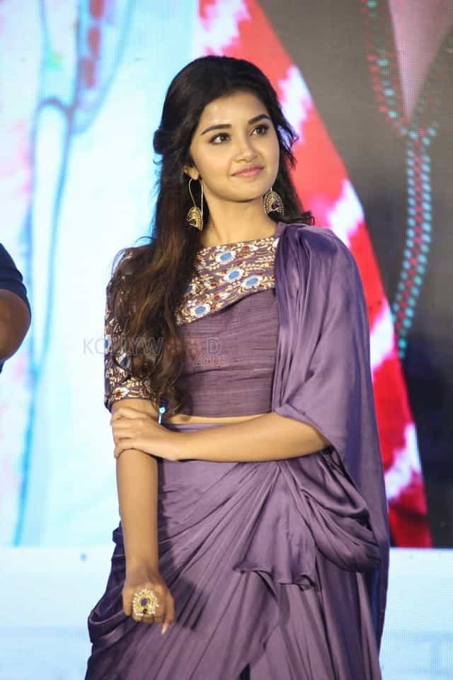 Actress Anupama Parameswaran At Hello Guru Prema Kosame Success Meet Photos