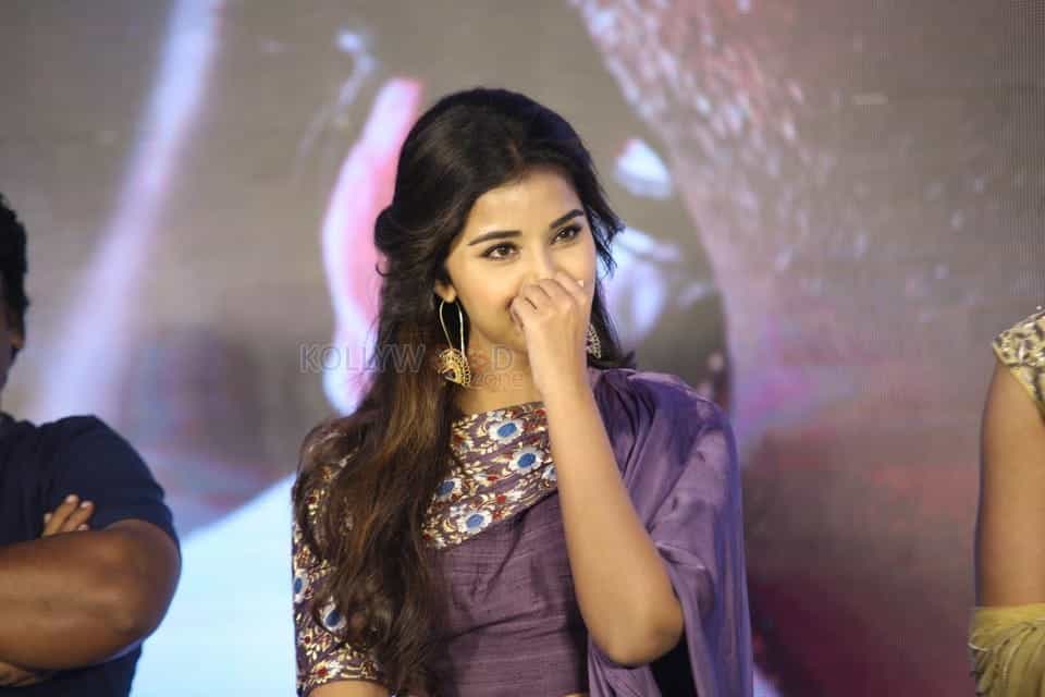 Actress Anupama Parameswaran At Hello Guru Prema Kosame Success Meet Photos