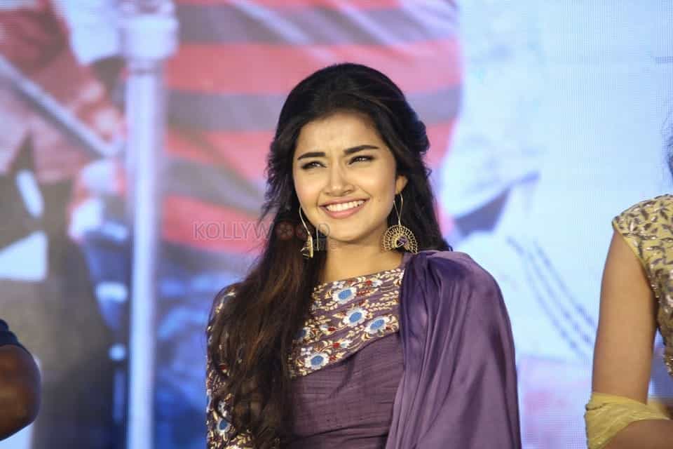 Actress Anupama Parameswaran At Hello Guru Prema Kosame Success Meet Photos