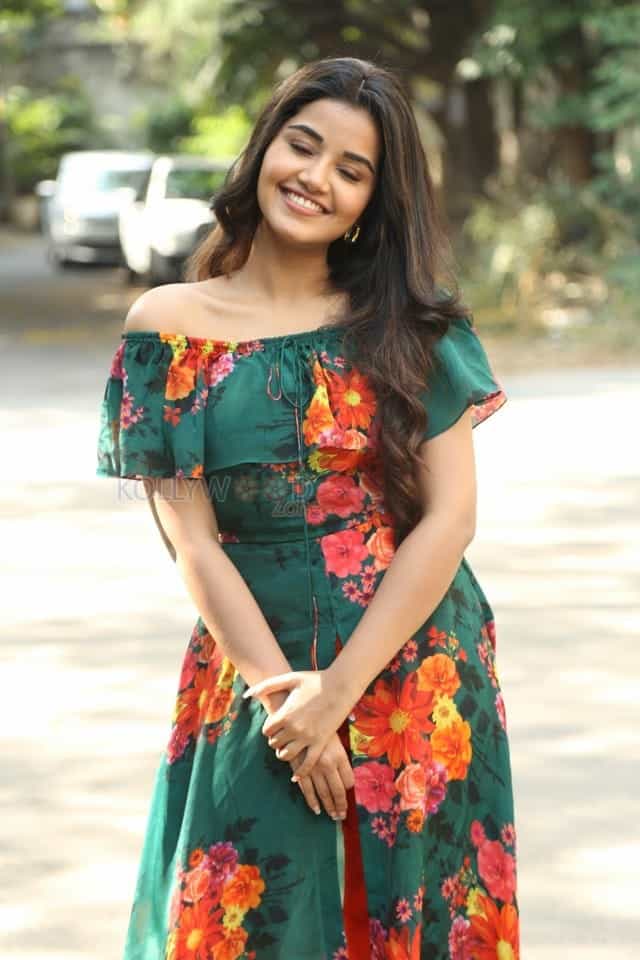 Actress Anupama Parameswaran At Hello Guru Premakosame Interview Photos