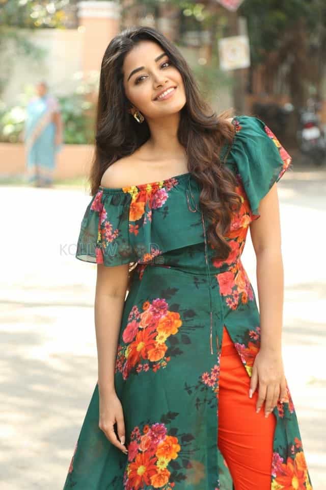 Actress Anupama Parameswaran At Hello Guru Premakosame Interview Photos