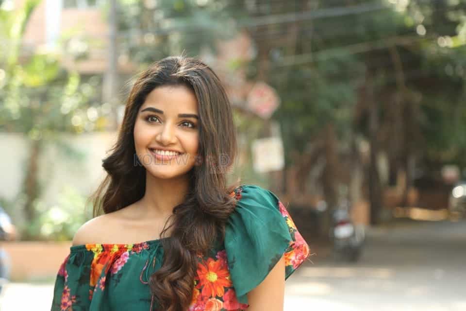 Actress Anupama Parameswaran At Hello Guru Premakosame Interview Photos