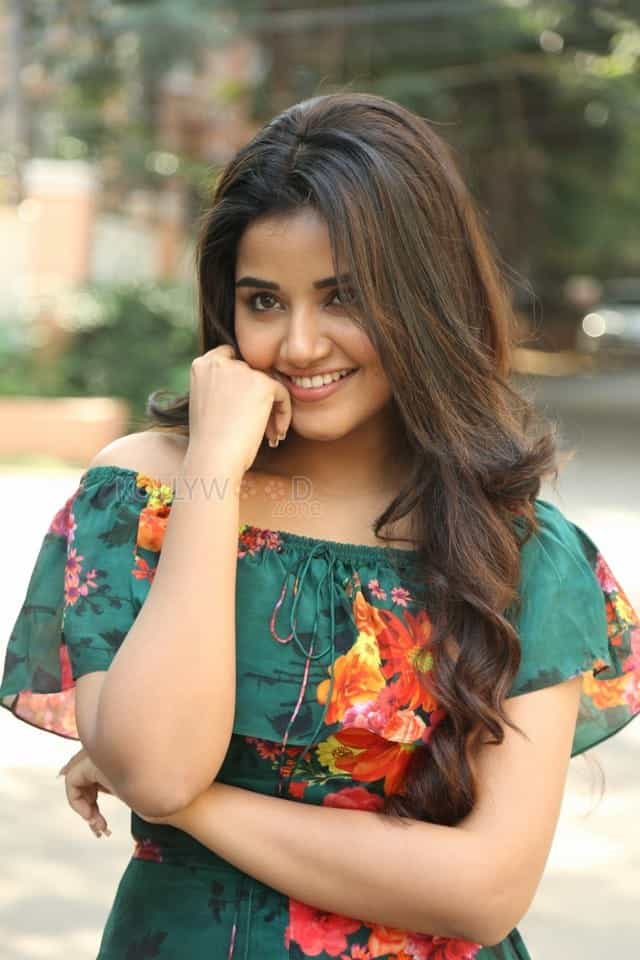 Actress Anupama Parameswaran At Hello Guru Premakosame Interview Photos