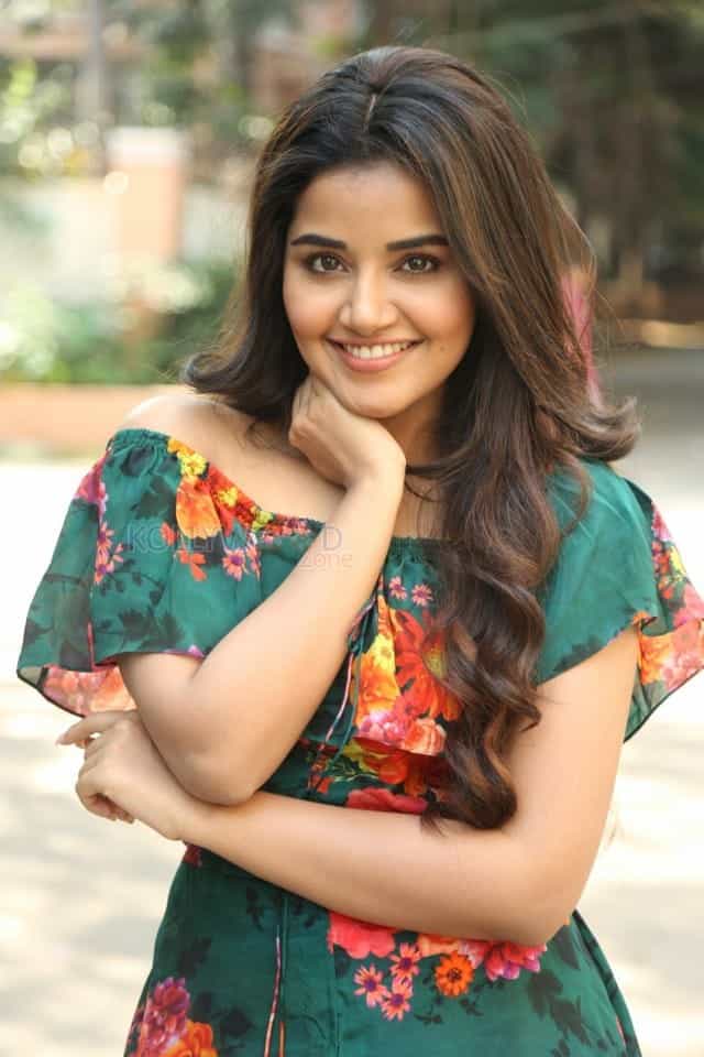 Actress Anupama Parameswaran At Hello Guru Premakosame Interview Photos