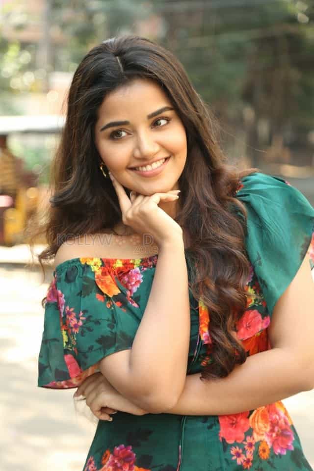 Actress Anupama Parameswaran At Hello Guru Premakosame Interview Photos