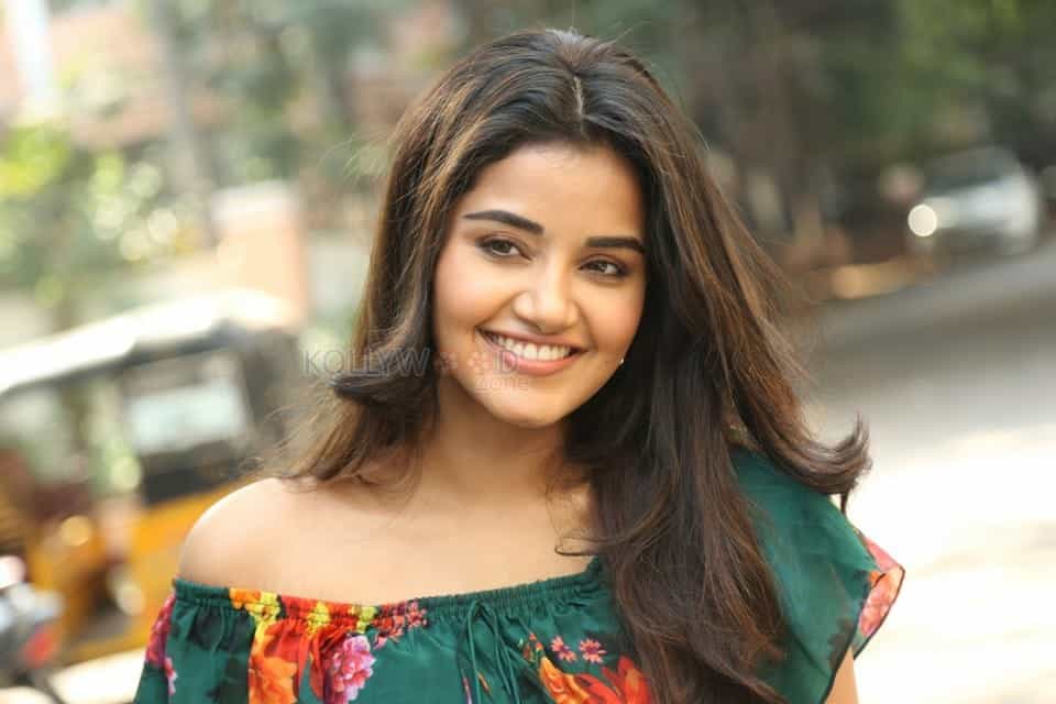 Actress Anupama Parameswaran At Hello Guru Premakosame Interview Photos