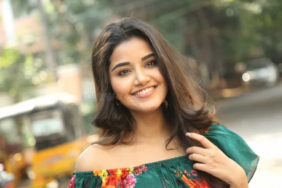 Actress Anupama Parameswaran At Hello Guru Premakosame Interview Photos