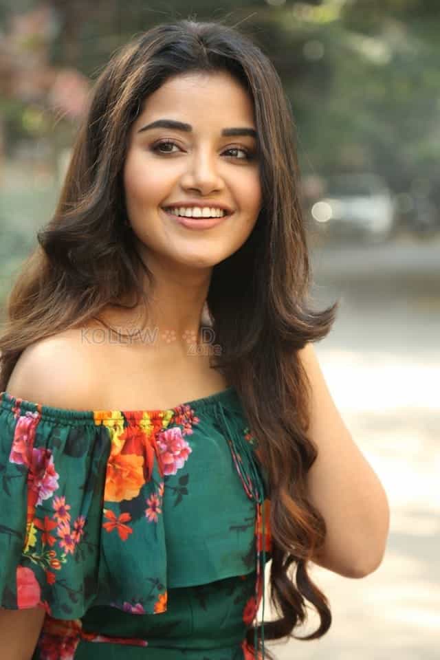 Actress Anupama Parameswaran At Hello Guru Premakosame Interview Photos