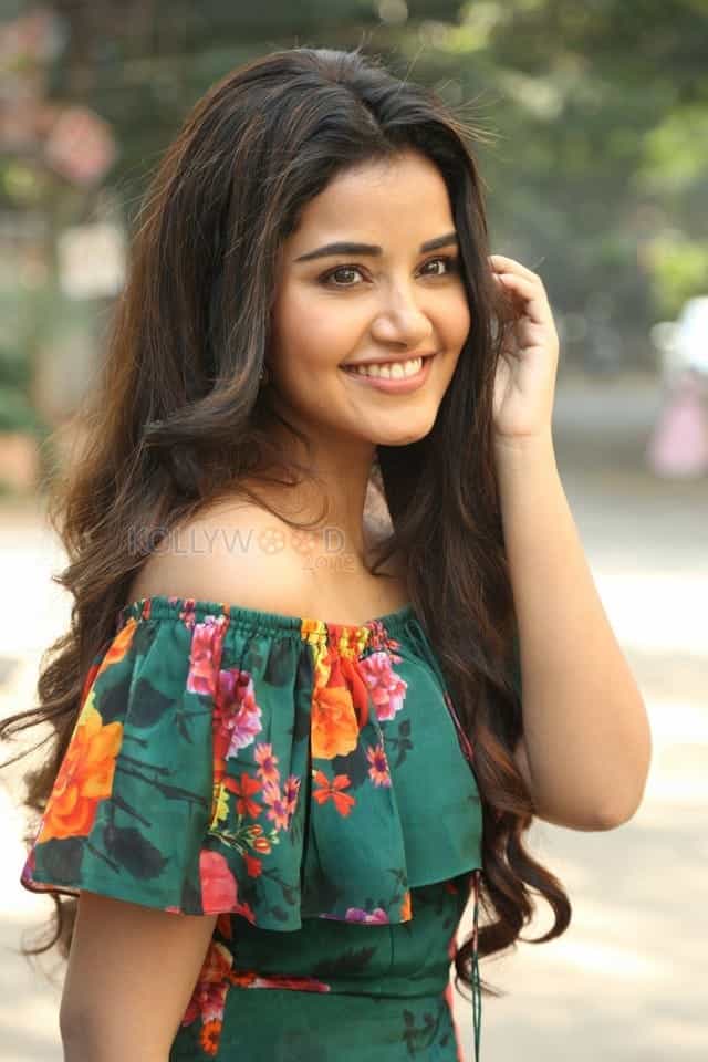 Actress Anupama Parameswaran At Hello Guru Premakosame Interview Photos