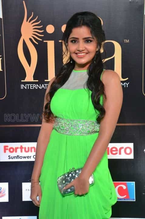 Actress Anupama Parameswaran At Iifa Utsavam Photos