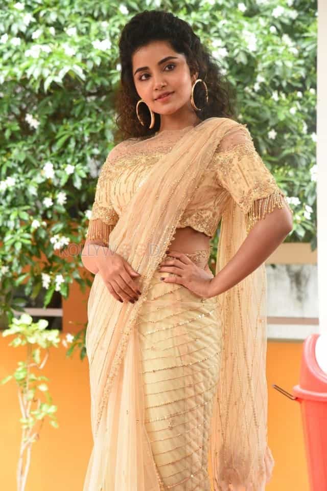 Actress Anupama Parameswaran At Rakshasudu Press Meet Photos