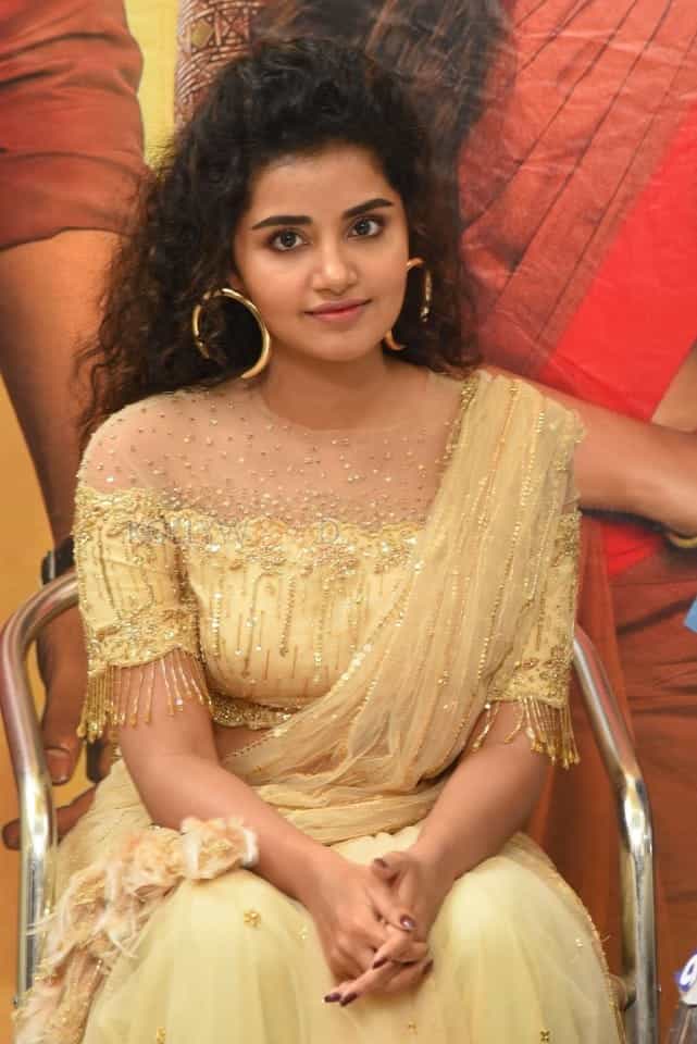 Actress Anupama Parameswaran At Rakshasudu Press Meet Photos