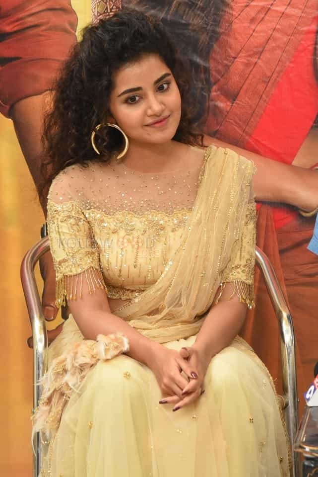 Actress Anupama Parameswaran At Rakshasudu Press Meet Photos