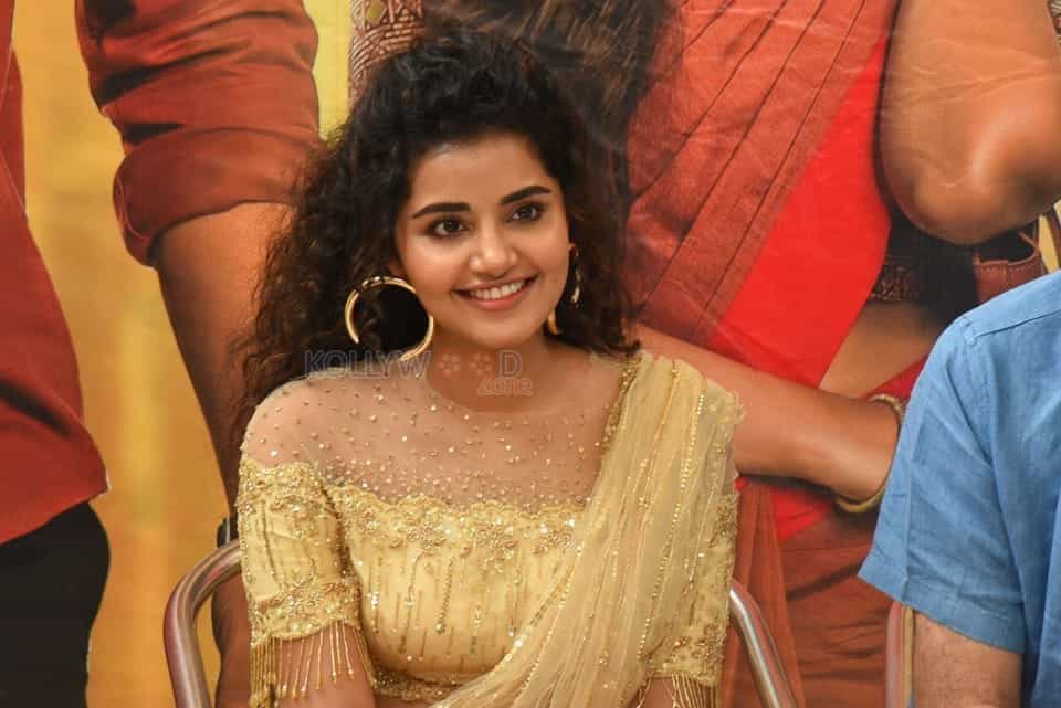 Actress Anupama Parameswaran At Rakshasudu Press Meet Photos