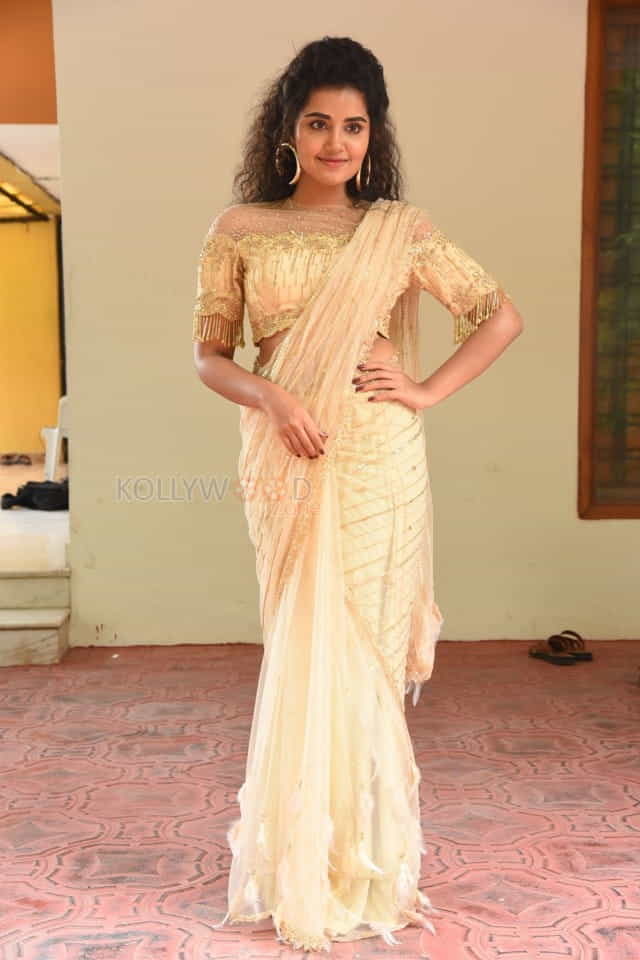 Actress Anupama Parameswaran At Rakshasudu Press Meet Photos