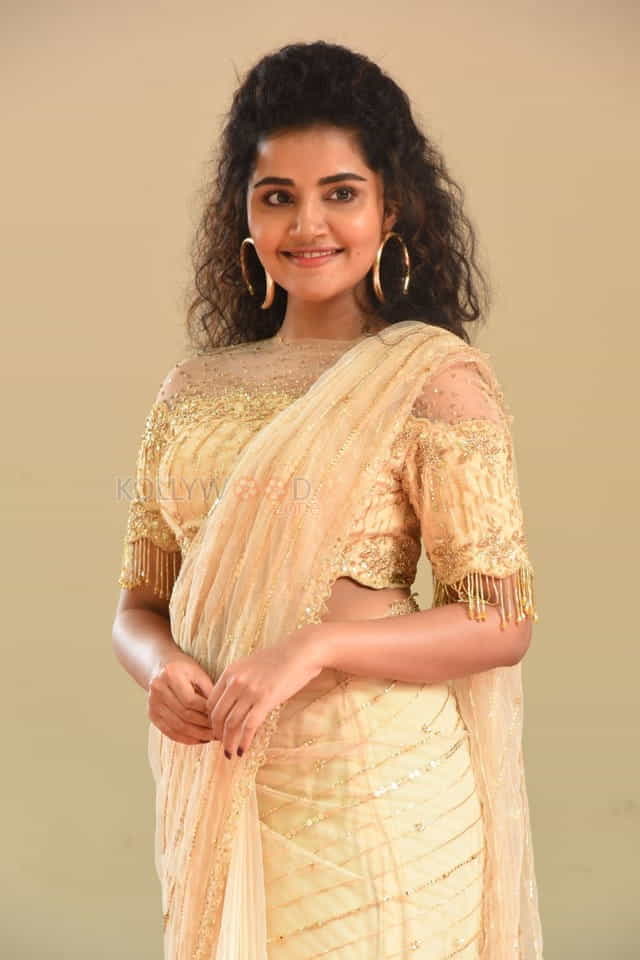 Actress Anupama Parameswaran At Rakshasudu Press Meet Photos