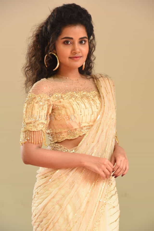 Actress Anupama Parameswaran At Rakshasudu Press Meet Photos