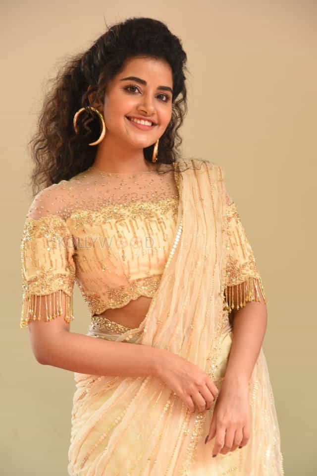 Actress Anupama Parameswaran At Rakshasudu Press Meet Photos