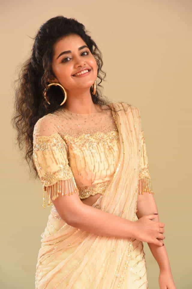 Actress Anupama Parameswaran At Rakshasudu Press Meet Photos