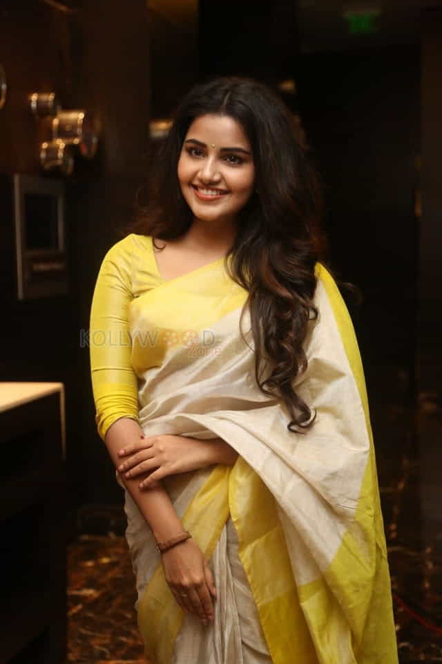 Actress Anupama Parameswaran At Svc Movies Celebration Photos