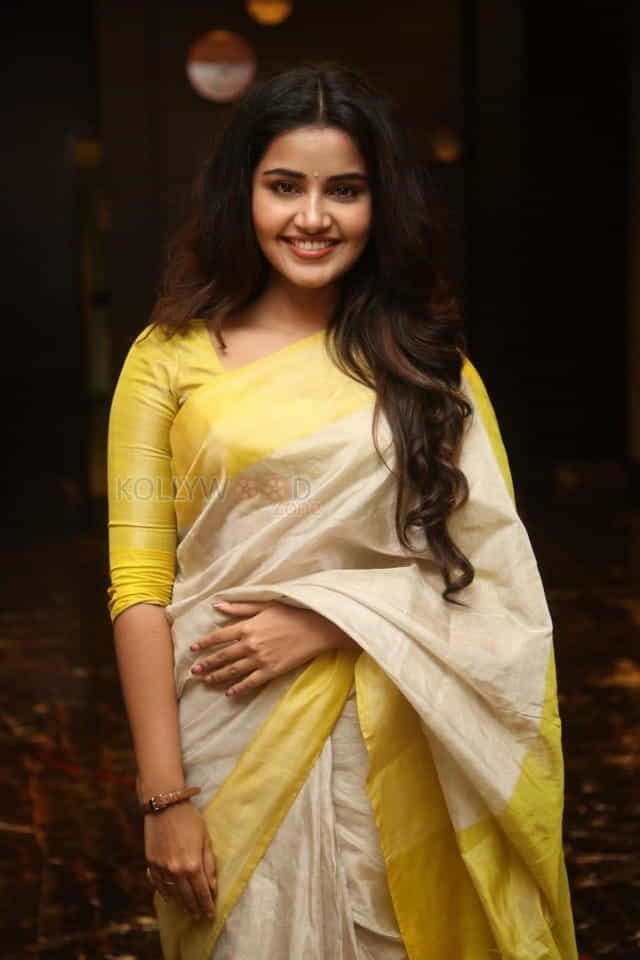 Actress Anupama Parameswaran At Svc Movies Celebration Photos