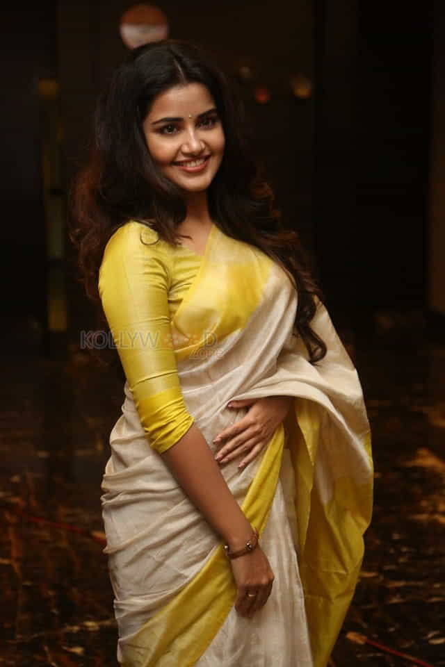 Actress Anupama Parameswaran At Svc Movies Celebration Photos