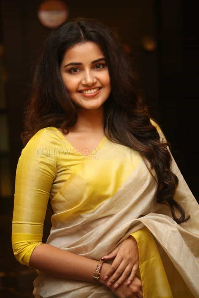 Actress Anupama Parameswaran At Svc Movies Celebration Photos