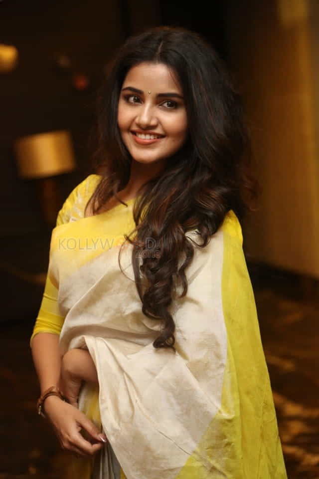 Actress Anupama Parameswaran At Svc Movies Celebration Photos