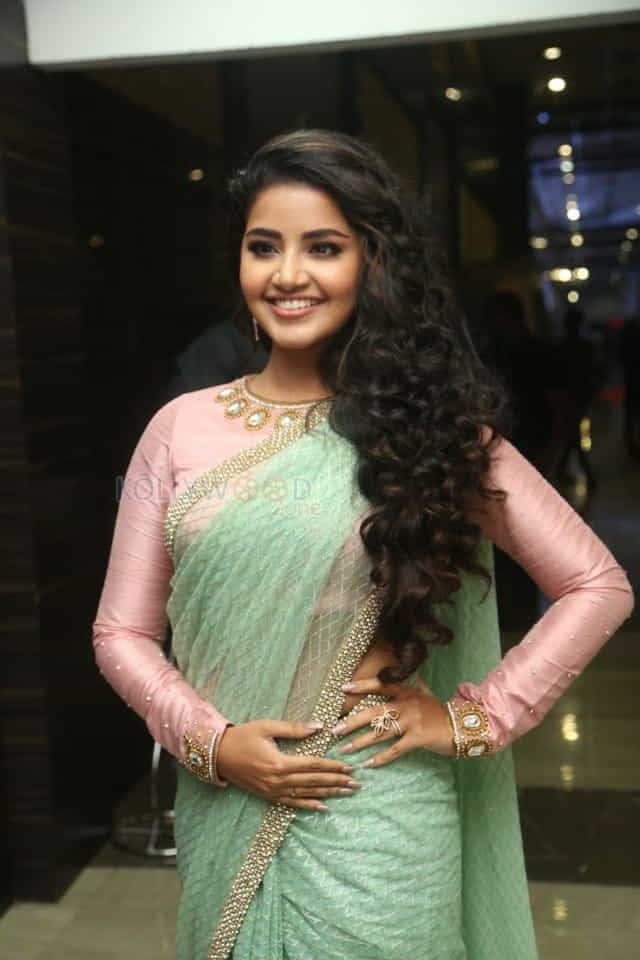 Actress Anupama Parameswaran Green Saree Photos