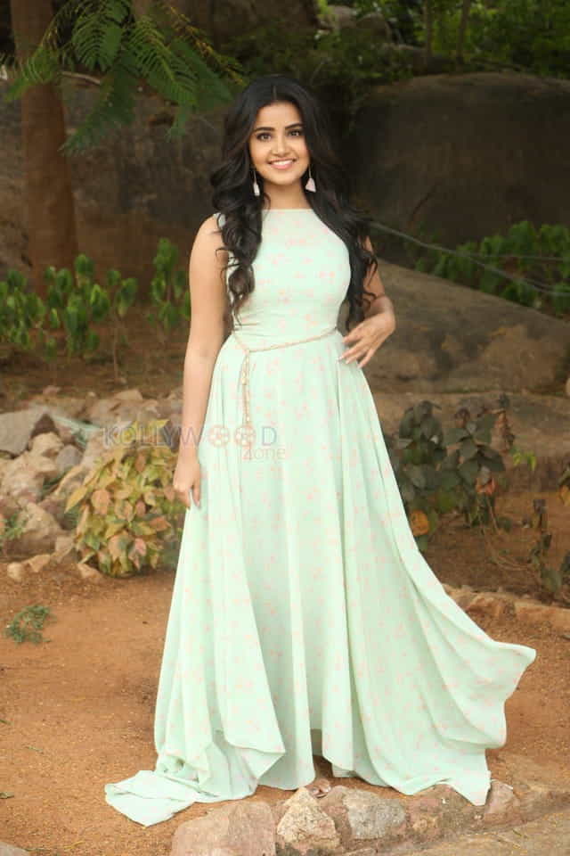 Actress Anupama Parameswaran New Photo Shoot Pictures