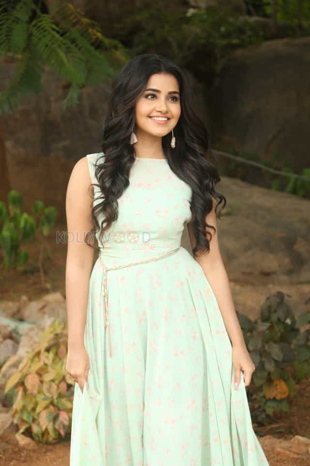 Actress Anupama Parameswaran New Photo Shoot Pictures