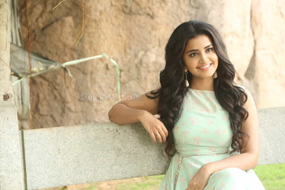 Actress Anupama Parameswaran New Photo Shoot Pictures