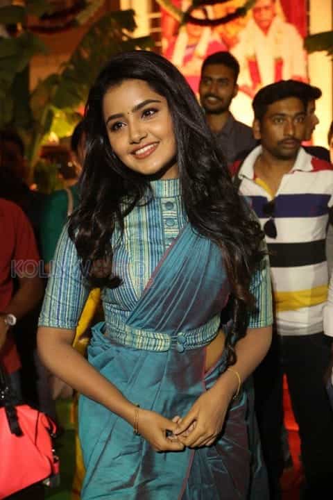 Actress Anupama Parameswaran New Photos