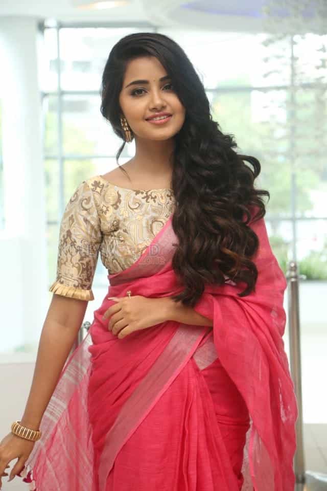 Actress Anupama Parameswaran Saree Pictures