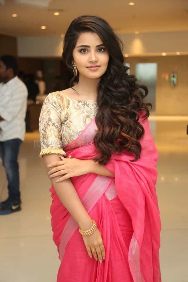 Actress Anupama Parameswaran Saree Pictures