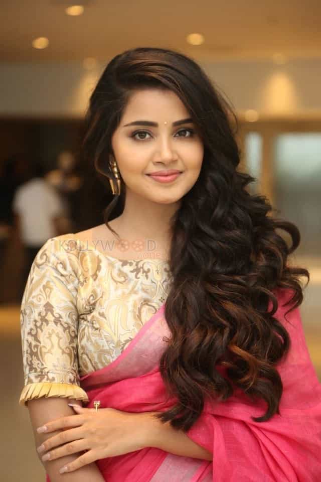 Actress Anupama Parameswaran Saree Pictures