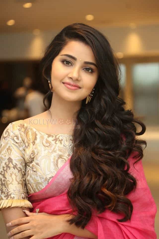 Actress Anupama Parameswaran Saree Pictures