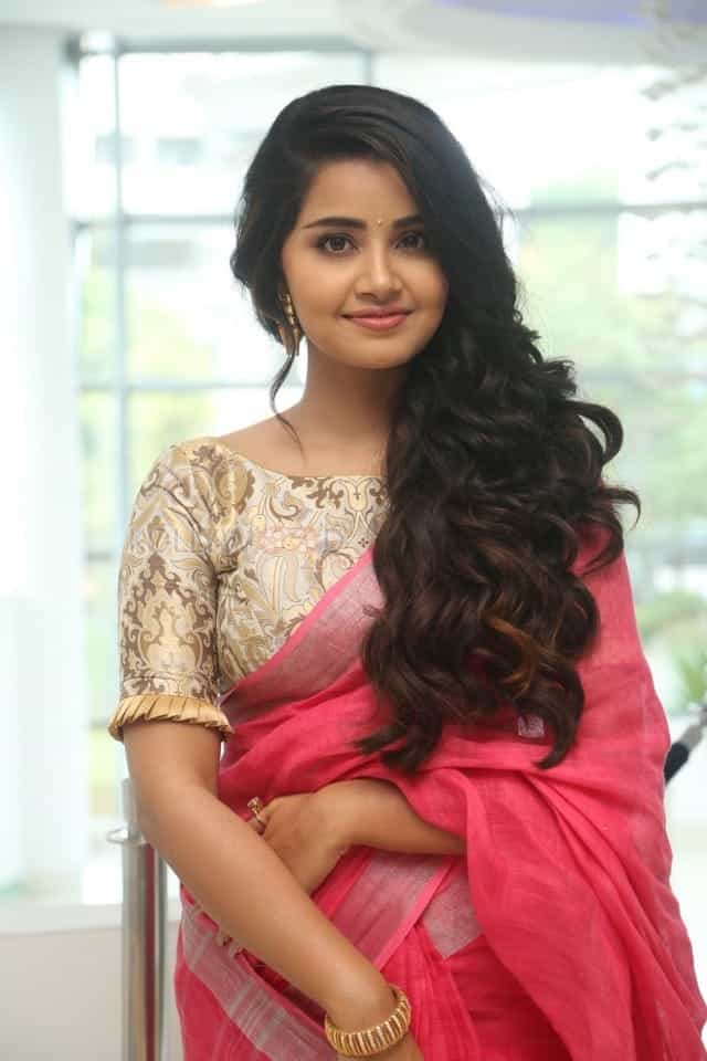 Actress Anupama Parameswaran Saree Pictures