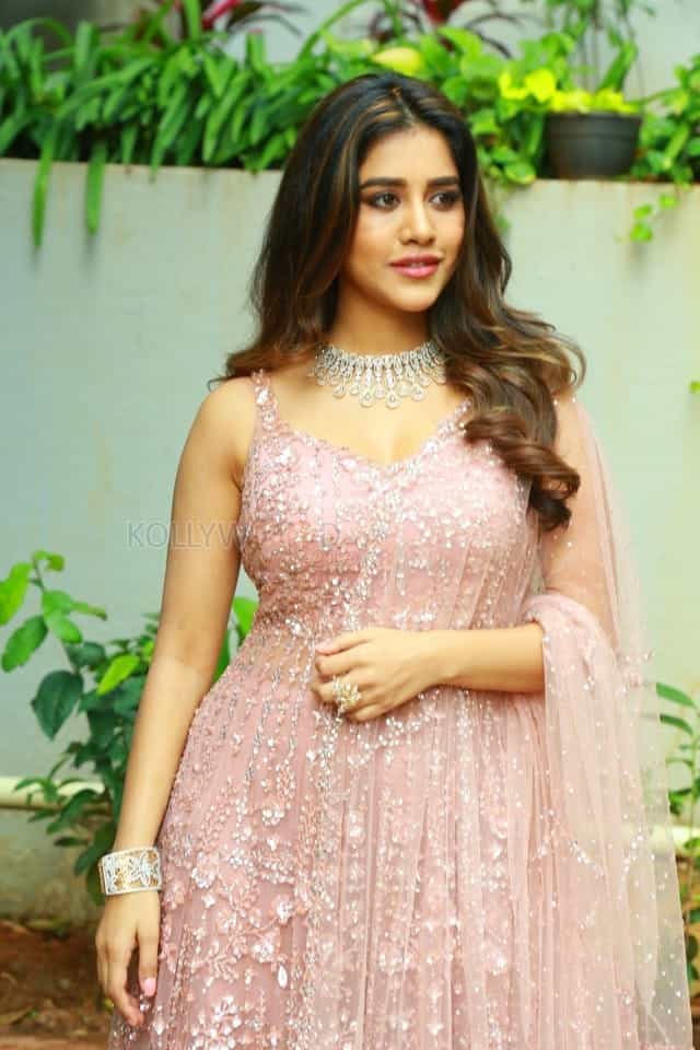 Actress Nabha Natesh At Bellamkonda Sai Srinivas V Santosh Srinivas Movie Opening Photos