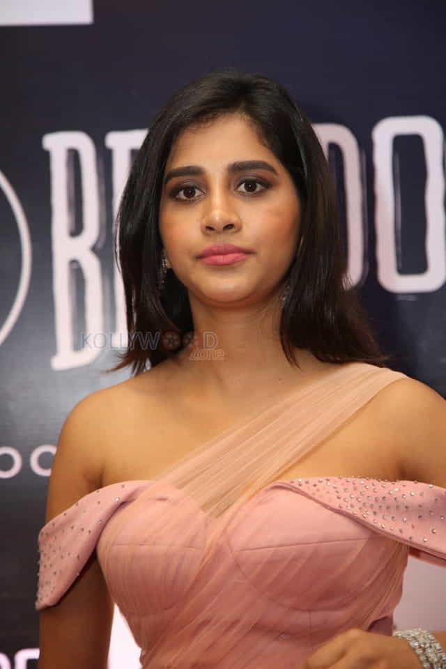 Actress Nabha Natesh At Dadasaheb Phalke Awards South Photos