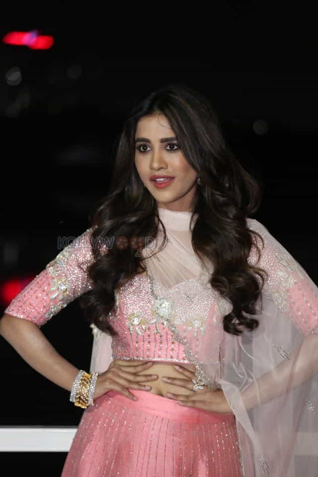 Actress Nabha Natesh At Disco Raja Pre release Event Pictures