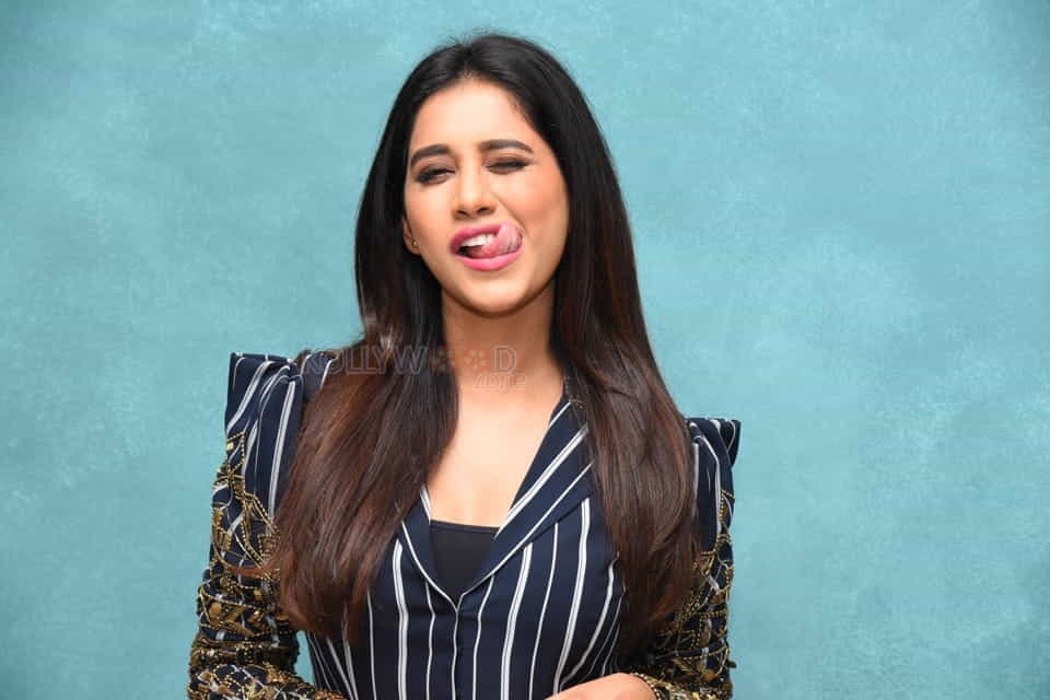 Actress Nabha Natesh At Ismart Shankar Pre release Event Pictures