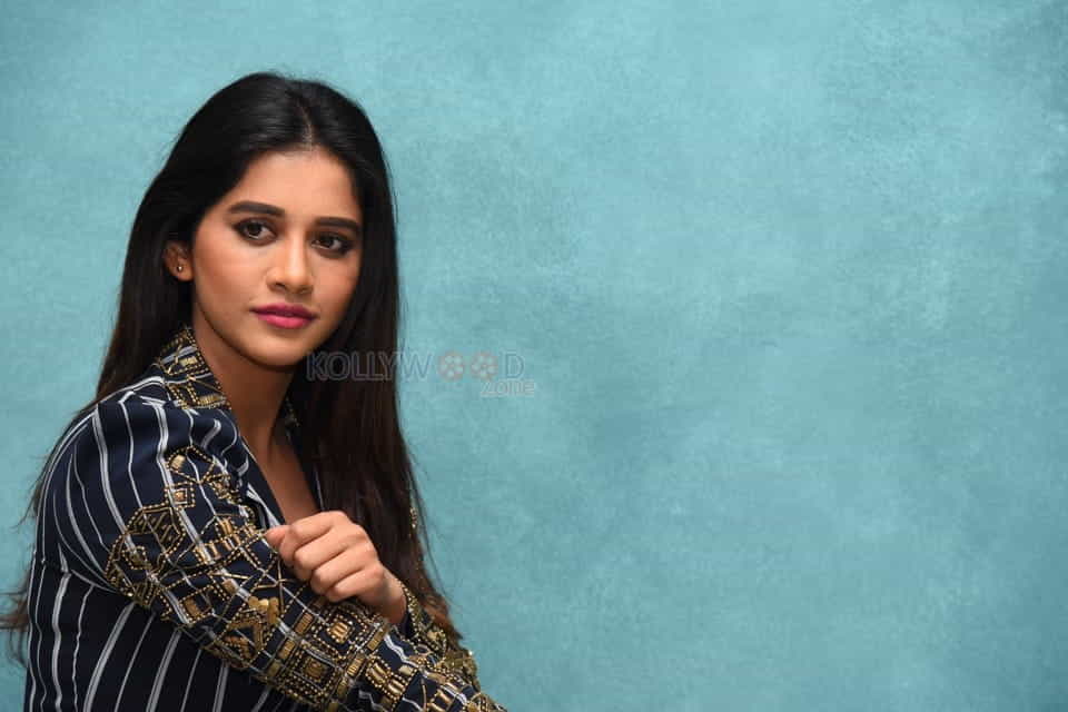 Actress Nabha Natesh At Ismart Shankar Pre release Event Pictures