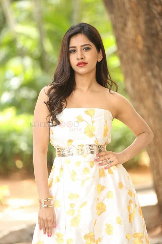 Actress Nabha Natesh At Nannu Dochukunduvate Thank You Meet Photos