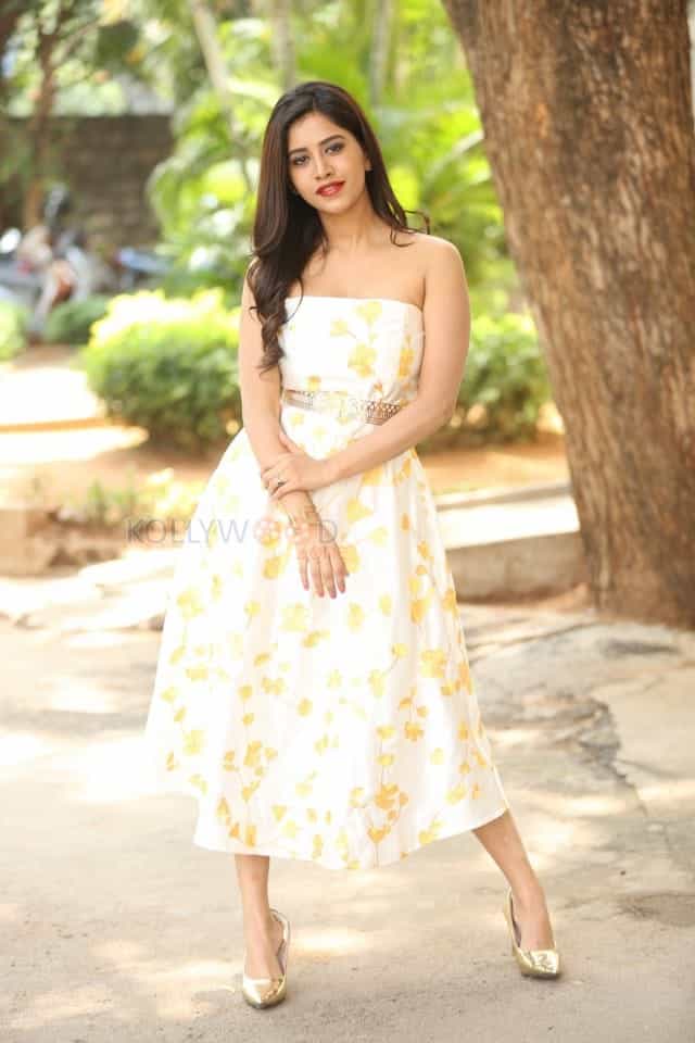 Actress Nabha Natesh At Nannu Dochukunduvate Thank You Meet Photos