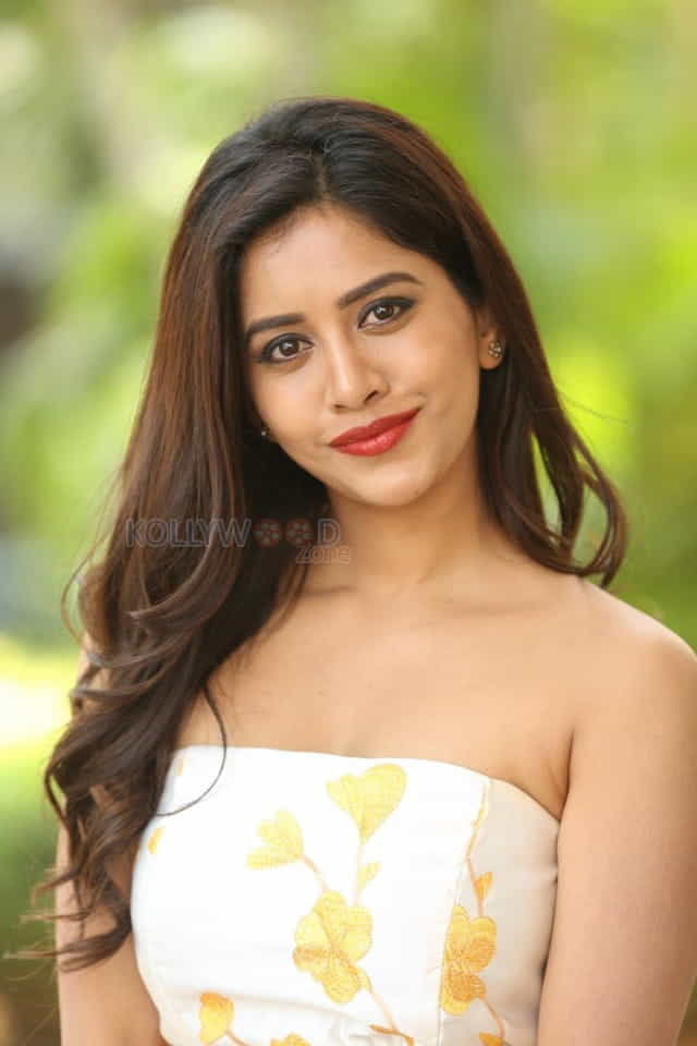 Actress Nabha Natesh At Nannu Dochukunduvate Thank You Meet Photos