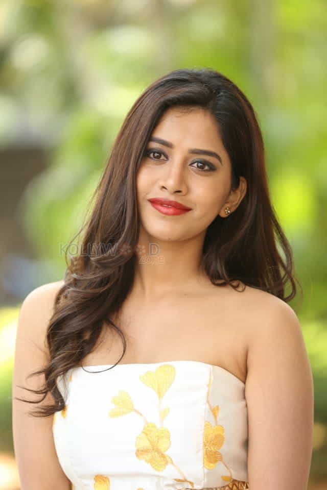 Actress Nabha Natesh At Nannu Dochukunduvate Thank You Meet Photos