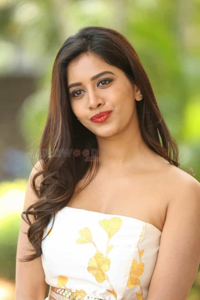 Actress Nabha Natesh At Nannu Dochukunduvate Thank You Meet Photos