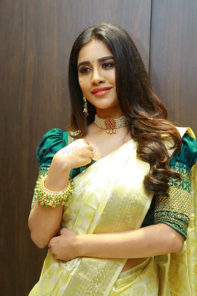 Actress Nabha Natesh Launches Sri Kanchi Alankar Silks At Saroornagar Photos